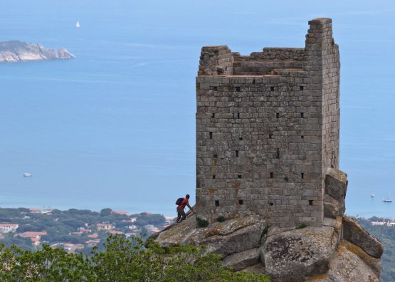 Mountain bike: un'isola, due ruote