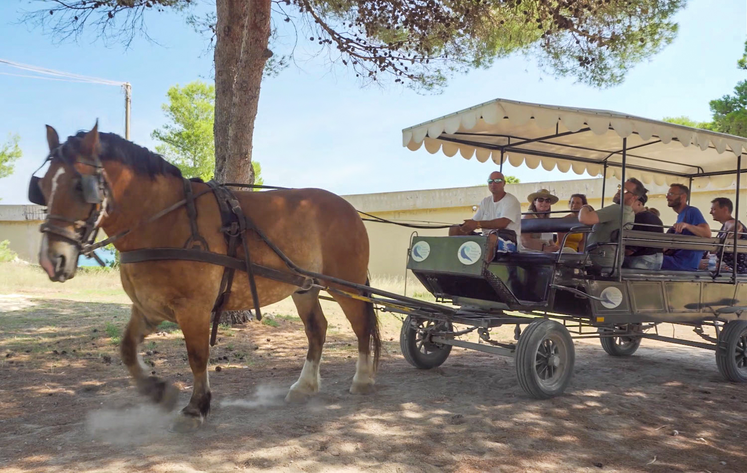 visita guidata in carrozza