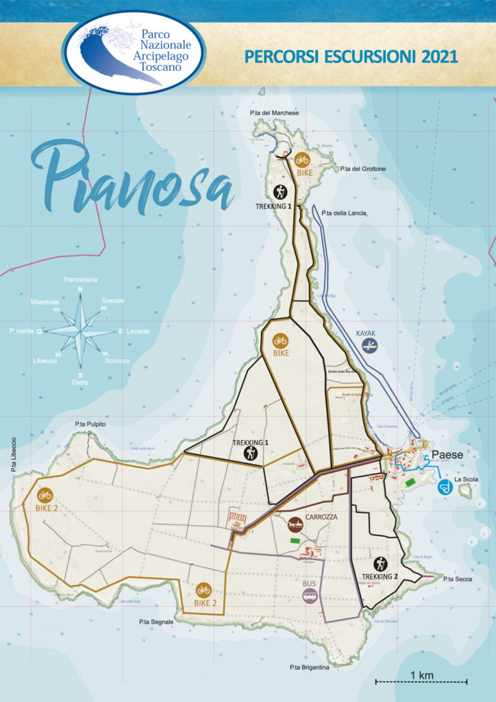 cartina dell'isola di pianosa